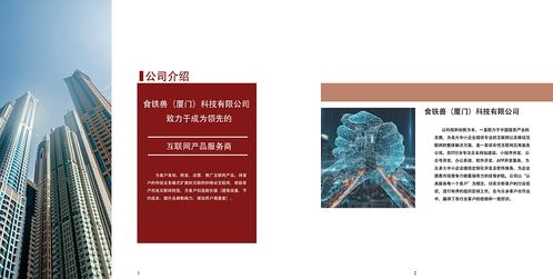 網絡科技公司產品項目及企業(yè)文化宣傳冊 紅色調