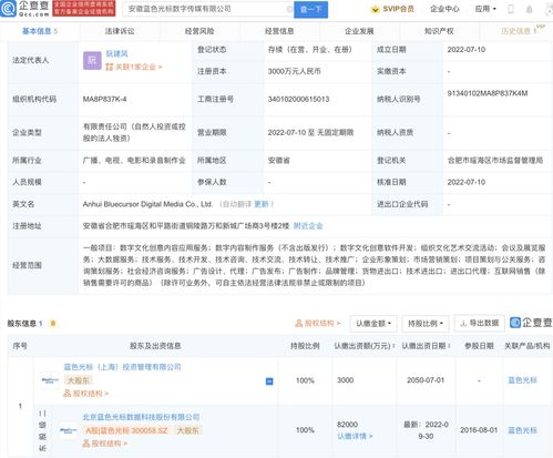 數字文化創意內容應用服務的興起與發展